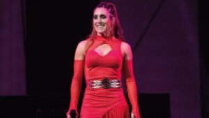 Verano 2025: Los shows que no te podés perder